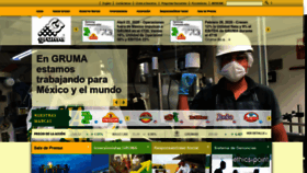 What Gruma.com website looked like in 2020 (3 years ago)