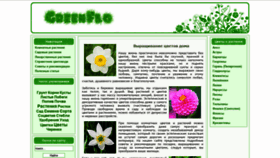 What Greenflo.ru website looked like in 2020 (3 years ago)