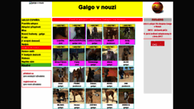 What Galgovnouzi.cz website looked like in 2020 (3 years ago)