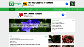 What Gardenmanage.com website looked like in 2020 (3 years ago)