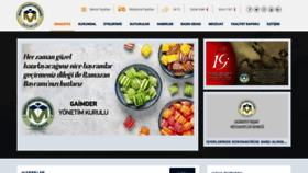 What Gaimder.org website looked like in 2020 (5 years ago)