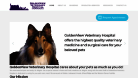 What Goldenviewvet.com website looked like in 2020 (3 years ago)