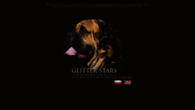 What Glitterstars.pl website looked like in 2020 (3 years ago)