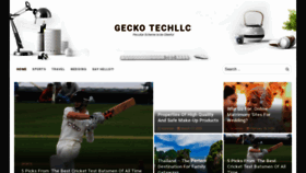 What Geckotechllc.com website looked like in 2020 (3 years ago)