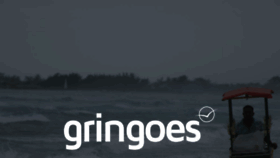 What Gringoes.com website looked like in 2020 (3 years ago)