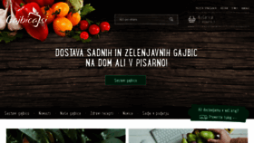 What Gajbica.si website looked like in 2020 (4 years ago)