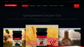 What Ganik.com website looked like in 2020 (3 years ago)