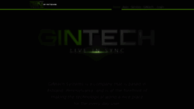 What Gintechsystems.com website looked like in 2020 (3 years ago)