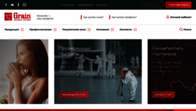 What Grain-prof.ru website looked like in 2020 (3 years ago)