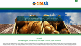 What Gidabil.org.tr website looked like in 2020 (3 years ago)
