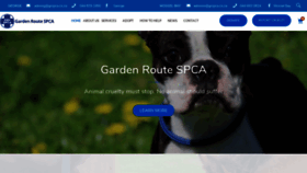 What Grspca.co.za website looked like in 2020 (3 years ago)