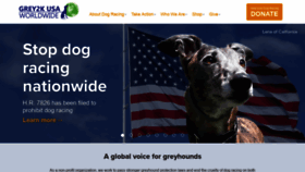 What Grey2kusa.org website looked like in 2020 (3 years ago)