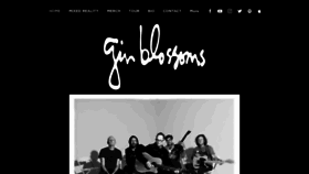 What Ginblossoms.net website looked like in 2020 (3 years ago)