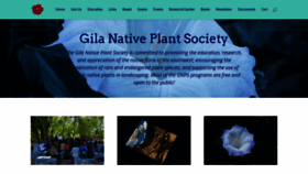 What Gilanps.org website looked like in 2020 (3 years ago)