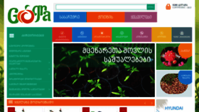 What Gogra.ge website looked like in 2020 (5 years ago)