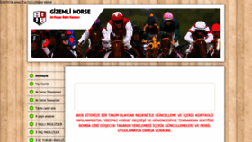 What Gizemlihorse.tr.gg website looked like in 2021 (3 years ago)
