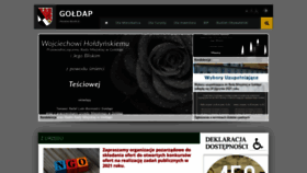 What Goldap.pl website looked like in 2021 (3 years ago)