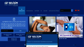 What Gelisimlab.com.tr website looked like in 2021 (3 years ago)