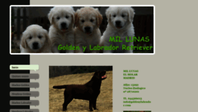 What Goldenylabrador.com website looked like in 2021 (3 years ago)