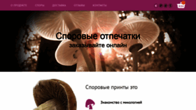 What Gribo4ek.org website looked like in 2021 (4 years ago)