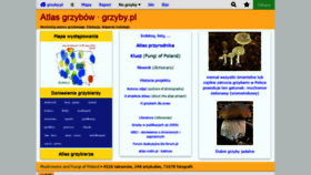 What Grzyby.pl website looked like in 2021 (3 years ago)