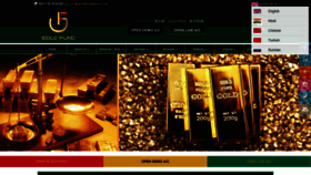 What Goldfundghana.com website looked like in 2021 (3 years ago)