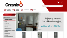 What Grzanieplus.pl website looked like in 2021 (4 years ago)