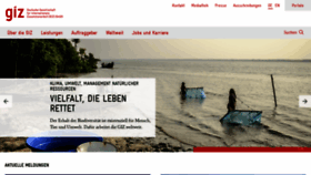 What Gtz.de website looked like in 2021 (2 years ago)