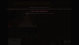 What Genickbruch.com website looked like in 2021 (2 years ago)