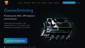 What Goose2mining.club website looked like in 2021 (2 years ago)