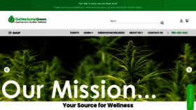 What Getmesomegreen.com website looked like in 2021 (2 years ago)