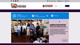 What Garrahan.gov.ar website looked like in 2021 (2 years ago)