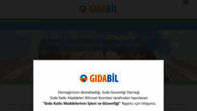 What Gidabil.org.tr website looked like in 2021 (2 years ago)