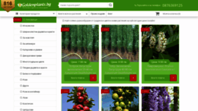 What Goldenplants.bg website looked like in 2021 (2 years ago)