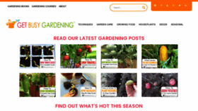 What Getbusygardening.com website looked like in 2022 (2 years ago)