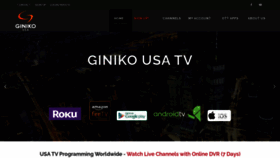 What Ginikousa.com website looked like in 2022 (1 year ago)