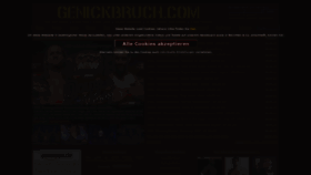 What Genickbruch.com website looked like in 2022 (1 year ago)