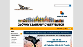 What Golebieodrzutowe.pl website looked like in 2022 (1 year ago)