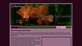 What Goltairis.com.ua website looked like in 2022 (1 year ago)