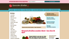What Gezonder-afvallen.nl website looked like in 2022 (1 year ago)