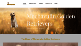 What Goldens.co.za website looked like in 2023 (2 years ago)