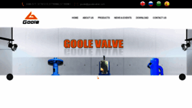 What Goolevalve.com website looked like in 2023 (1 year ago)