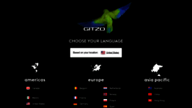 What Gitzo.com website looked like in 2023 (1 year ago)