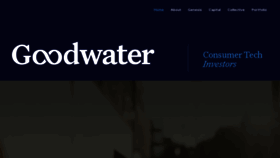 What Goodwatercap.com website looked like in 2023 (1 year ago)