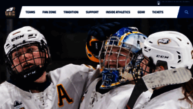 What Gothunderbirds.ca website looked like in 2023 (1 year ago)