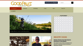 What Goodfruit.com website looked like in 2023 (1 year ago)