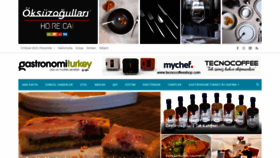 What Gastronomiturkey.com website looked like in 2023 (1 year ago)