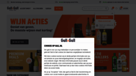 What Gall.nl website looked like in 2023 (This year)
