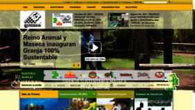 What Gruma.com website looked like in 2023 (This year)