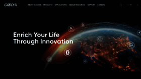 What Goodix.com website looked like in 2023 (2 years ago)